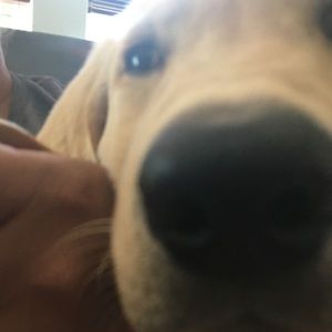 Meet your Posher, Jaclyn